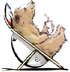 Bear-Student